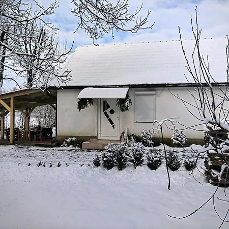 Hotel Окремий Будинок-Апартаменти Rakoshyno Exterior photo