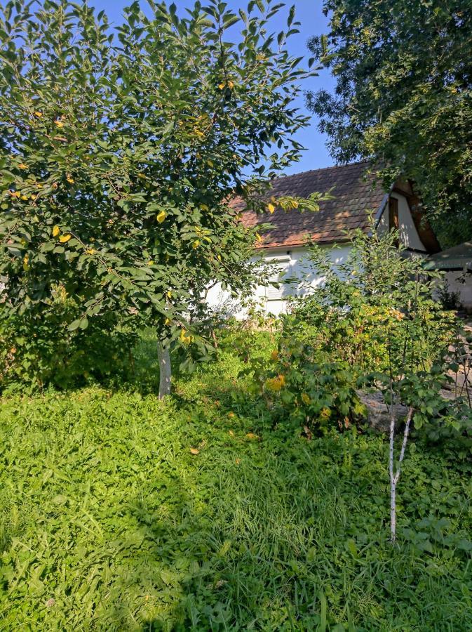 окремий будинок-апартаменти Holiday home Rakoshyno