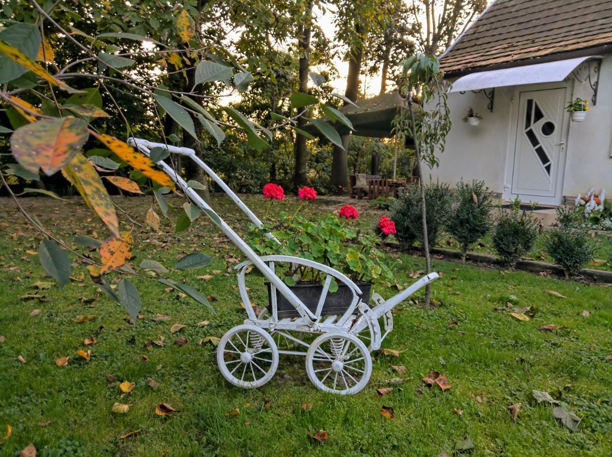 Holiday home окремий будинок-апартаменти