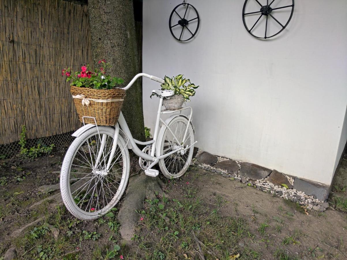 окремий будинок-апартаменти Holiday home Rakoshyno